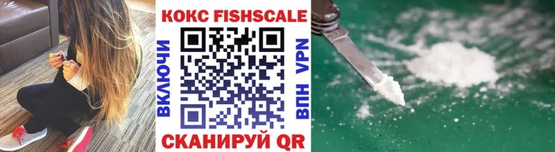 mega маркетплейс  Дальнегорск  Кокаин FishScale  где продают наркотики 