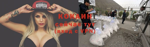 шишки Сафоново