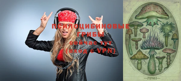 mix Белокуриха