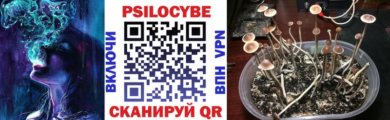 Псилоцибиновые грибы прущие грибы  Дальнегорск 
